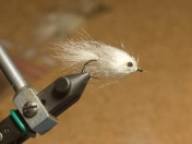 A cute fly - the Cuteling A cute fly - the Cuteling