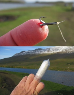 Bloody fuck finger! Bloody fuck finger!