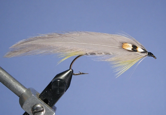 Roger Knight Roger Knight