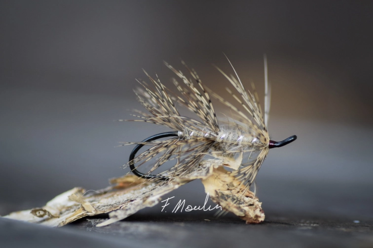 March Brown Grub Double Legs March Brown Grub Double Legs