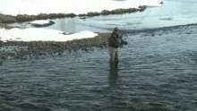 Video thumb for Provo River Midge Hatch