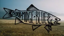 Video thumb for Blood Midge Blues