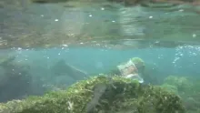 Video thumb for Small stream fishing