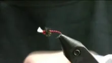 Video thumb for The Rojo Midge