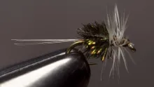 Video thumb for Peg's Midge