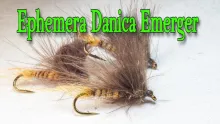 Video thumb for Ephemera Danica Emerger