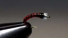 Video thumb for Red and Black Midge