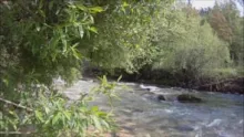 Video thumb for Crystal Clear