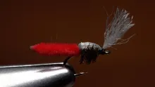 Video thumb for Palomino Midge