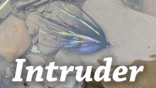 Video thumb for Intruder