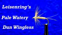 Video thumb for Leisenring’s Pale Watery Dun Wingless