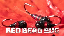 Video thumb for Red bead Bug