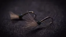 Video thumb for Emerging midge