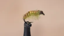 Video thumb for Calico Caddis