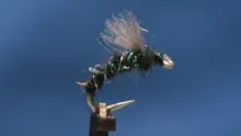 Video thumb for Dubbed Body Zebra Midge