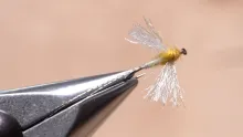 Video thumb for Superfine Sulphur Spinner