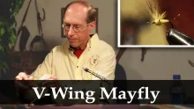 Video thumb for V-Wing Mayfly