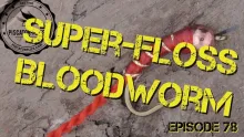 Video thumb for Superfloss Bloodworm