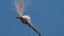 Video thumb for CDC Midge Emerger