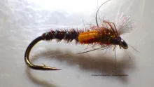 Video thumb for Pheasant Tail Midge Pupa