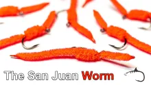 Video thumb for The San Juan Worm