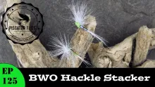 Video thumb for BWO Hackle Stacker Emerger Fly