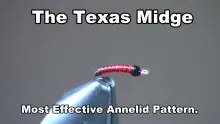 Video thumb for The Texas Midge