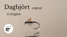 Video thumb for Dagbjört