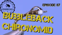 Video thumb for Bubbleback Chironomid