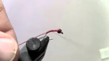 Video thumb for Tungsten Blood Midge