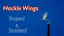 Video thumb for Hackle Wings