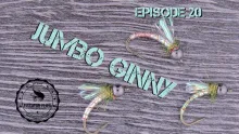 Video thumb for Jumbo Ginny Midge