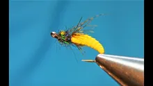 Video thumb for Caddis Pupa