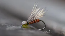 Video thumb for Deer Hair Run Caddis