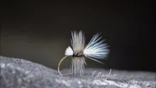 Video thumb for Dry fly, hackle work and peacock quills