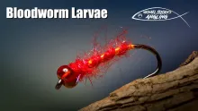 Video thumb for Bloodworm Larva