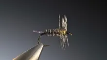 Video thumb for Hatching midge