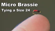 Video thumb for Micro Brassie