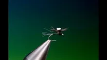 Video thumb for Surefire Midge