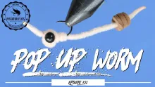 Video thumb for Pop Up Worm 