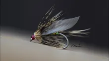 Video thumb for Winged soft hackle wet fly