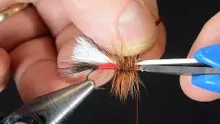 Video thumb for Tying Neat Heads