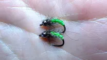 Video thumb for Catgut Green Caddis Pupa