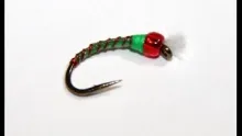 Video thumb for Christmas Chironomid