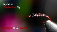 Video thumb for McFly's Hook Worm