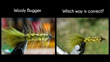 Video thumb for Best way to tie a wooly bugger? 