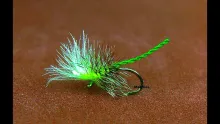 Video thumb for Spring Olive Palomino Midge