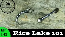 Video thumb for Rice Lake 101 Chironomid