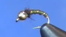 Video thumb for Zebra Midge (olive)