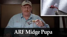 Video thumb for ARF Midge Pupa